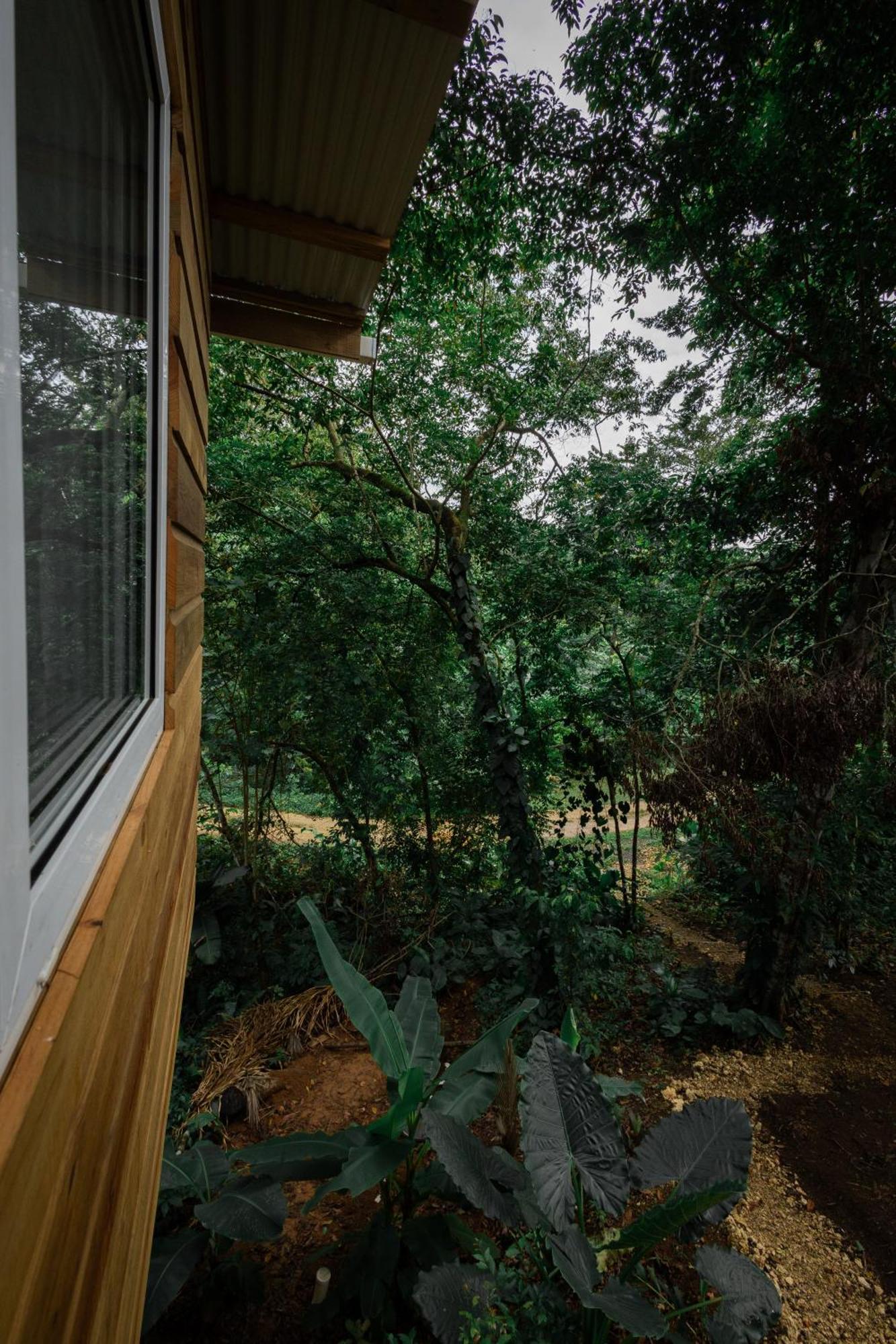 Monkey Tiny House - Private Swimming Pool Villa Big Bight Exterior photo